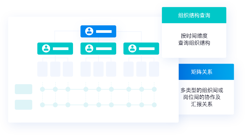 柔性组织