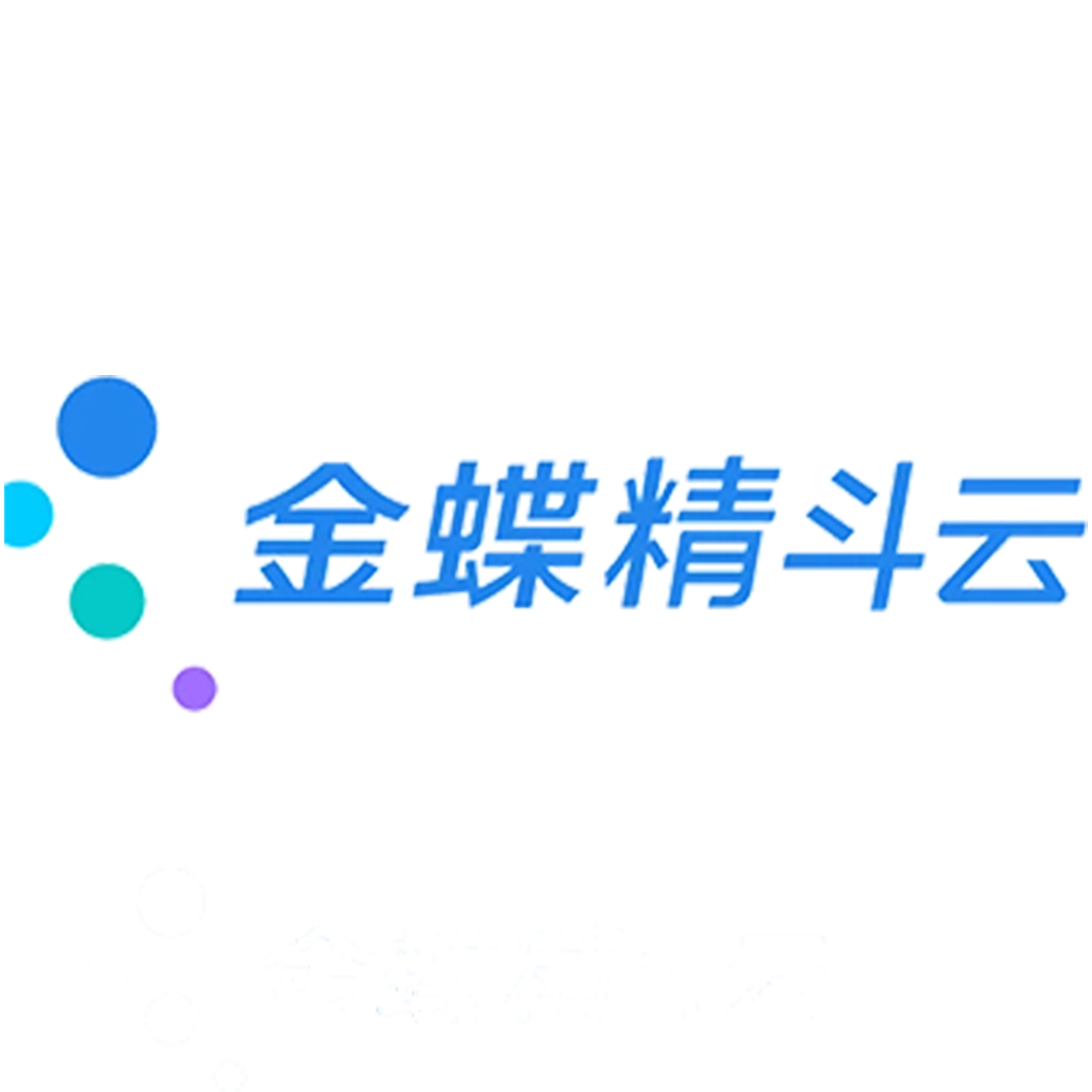 精斗云·云会计